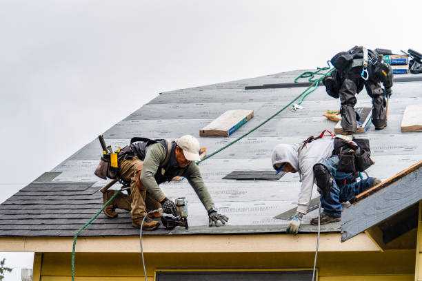 Professional Roofing technician working in North Henderson, IL